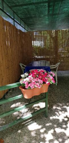 Camping Nuovo