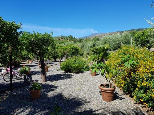 Agroturismo Agriturismo Le Case Di Civi