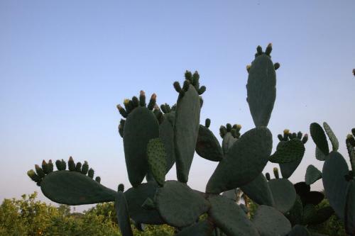 Agroturismo Agriturismo Le Case Di Civi