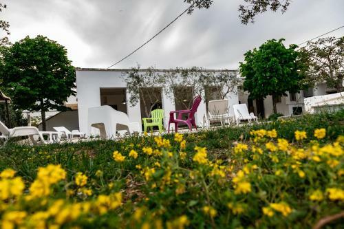 I Trulli Di Nonno Ernesto Trulli Piscina E Relax