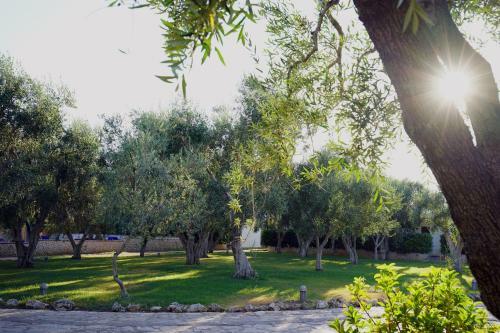 Melograno Holiday Home With Swimming Pool And Private Beach