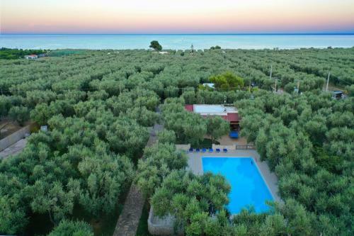 Ferienwohnung Ulivo Mit Pool Und Privatstrand