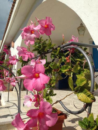 Casa Vacanze Maresole
