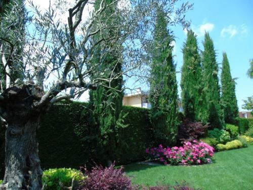 Bed & Breakfast Ai Cipressi