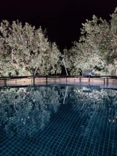 Apartamento La Casetta Degli Ulivi Con Piscina