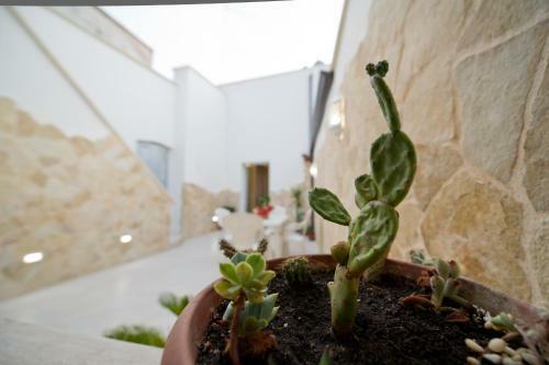 Apartamento Casa Bova