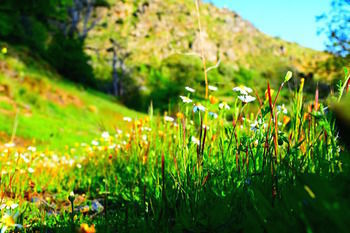 Apartamentos Vista Veleta