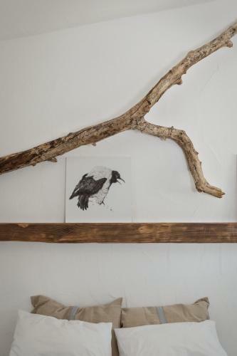 Bed & Breakfast Relais Bellavista 5