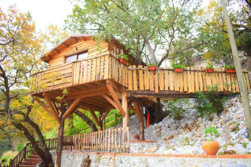 Lodge Le Casette Sull'albero Di Villa Alba