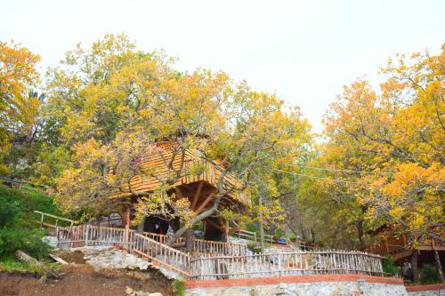 Lodge Le Casette Sull'albero Di Villa Alba