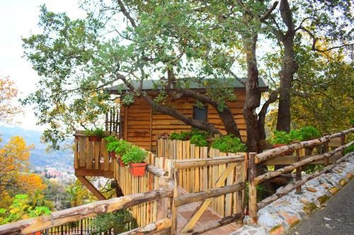 Lodge Le Casette Sull'albero Di Villa Alba