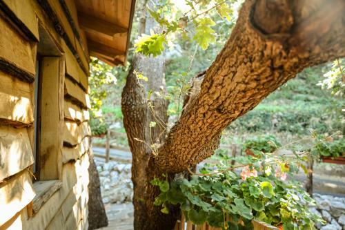 Lodge Le Casette Sull'albero Di Villa Alba
