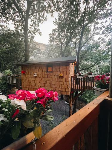 Lodge Le Casette Sull'albero Di Villa Alba