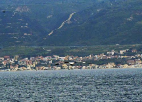 B&B La Murina
