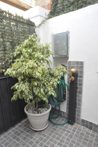 Bed & Breakfast Brenta 12
