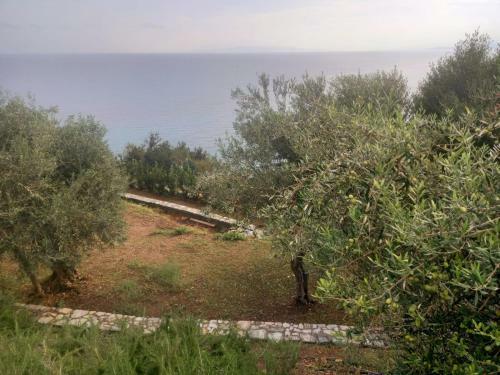 Villa The Cliff House