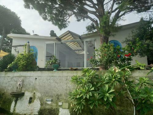 Villa The Cliff House