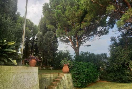 Villa The Cliff House