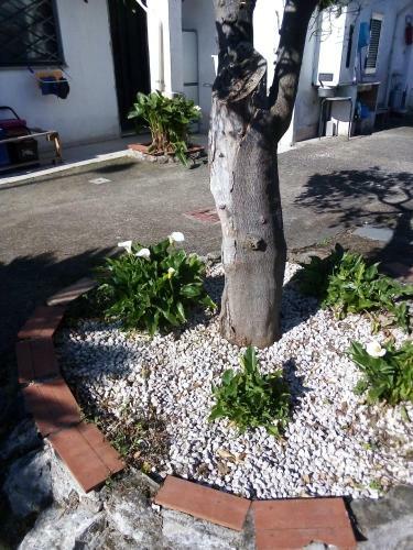 Apartamento Alloggio