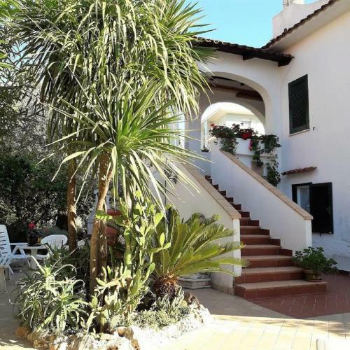 Apartamento C� Bianca Scauri