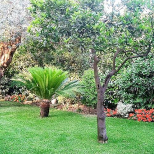 Apartamento Ca Bianca Scauri
