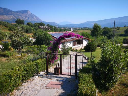 Campo Varone