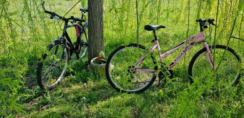 Agroturismo Az.agr.cascina Moretta