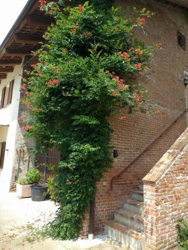 Riviera Delle Langhe Country House With A Pool
