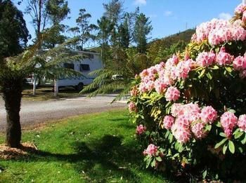 Zeehan Caravan Park