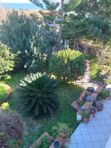 Villa Gelsomino