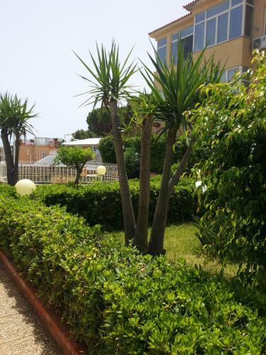 Apartamento Aurora House