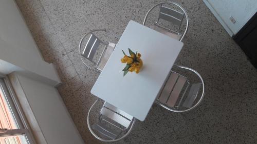 Appartamento Con Terrazza