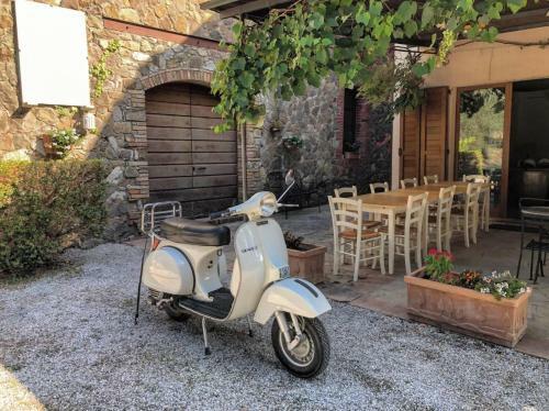Apartamento Casa Brigitte