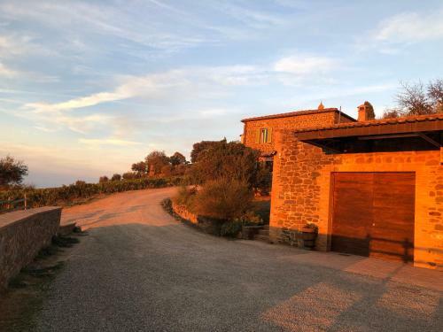 Podere Soccorso Casa Vigneto