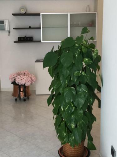 Apartamento Niguarda Bicocca Flat