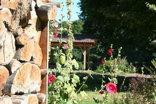 Apartamento Fewo Im Zentrum Pfadfinden