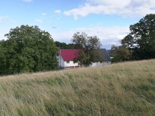 Apartamento Ferienwohnung Auf Der Hilkenh�he