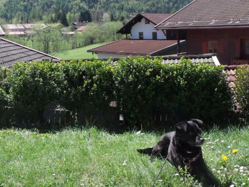 Apartamento Ferienwohnung M�ller - Chiemgau Karte