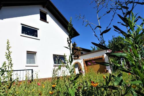 Z8