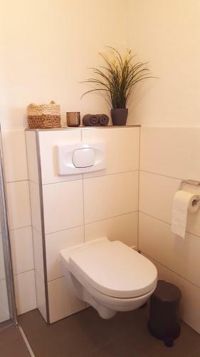 Apartamento Kohl�sche Hof Ferienwohnung