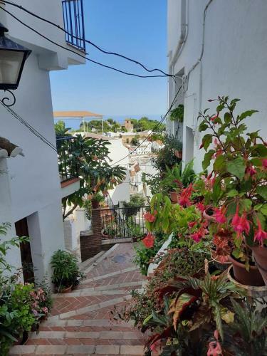 Apartamento Fuente de La Duquesa 5005