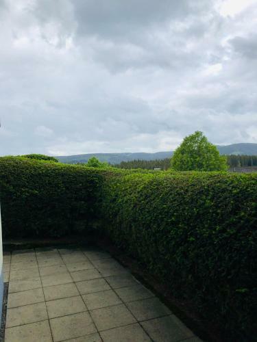 Apartamento Haus Feldbergblick - Feldbergblick Appartement 33c