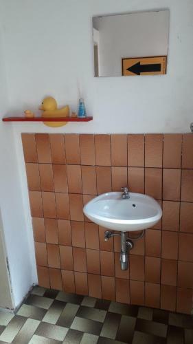 Vakantie Boerderij de Boerenzwaluw