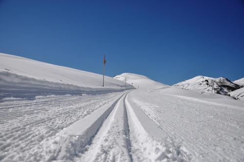 Hostal Gasthof B�ren
