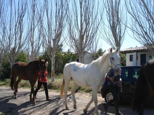 Camping Bungalows Armalygal