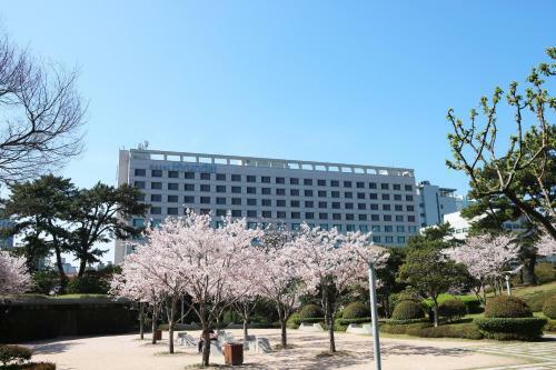 Hyundai Hotel Ulsan