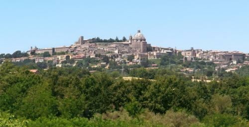 Belvedere