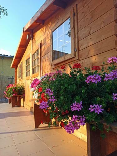 Apartamento Tenuta Braccini