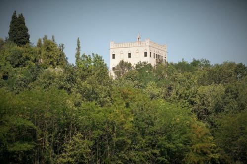 Camagnolia Apartment