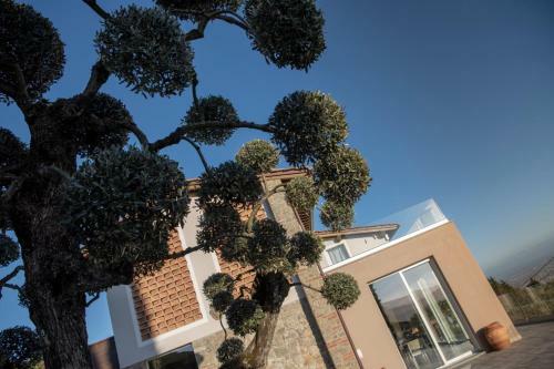 Apartamento Villa L'uliveta